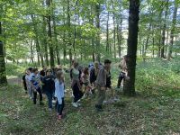 Waldtag_13